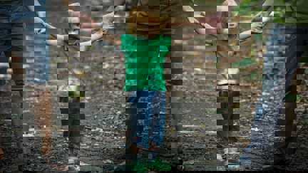 Ett litet barn håller sina föräldrar i händerna.